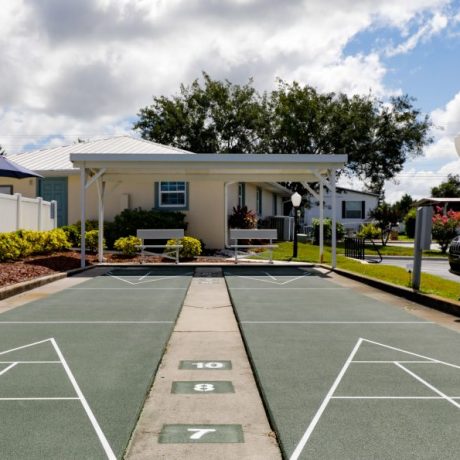 shuffleboard